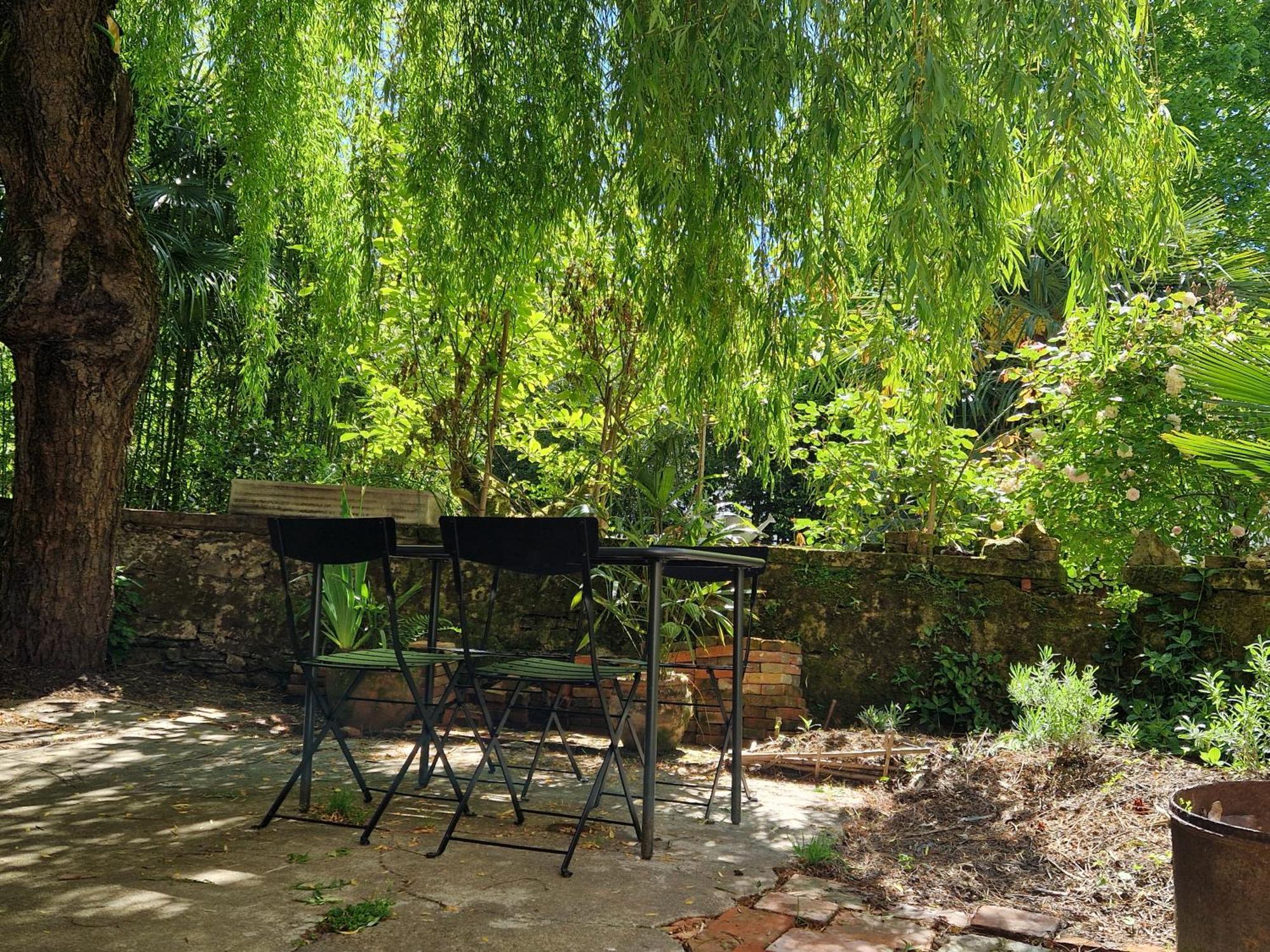 Le Jardin Aux Camelias Apartment La Roche-sur-Yon Exterior photo